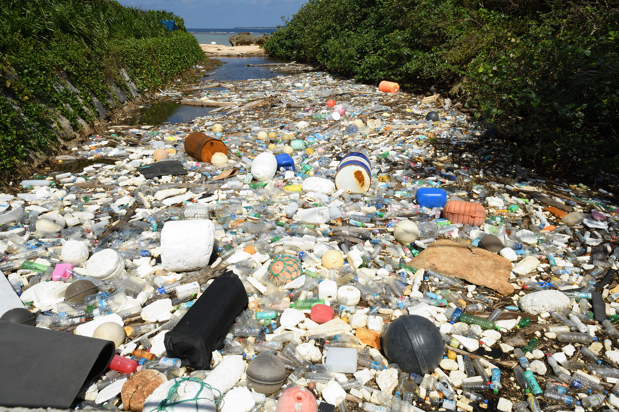 河口の水面を埋め尽くすプラスチックごみ